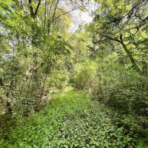 Photo #31 of 1004 No Bottom RD, Warrenton, NC 44.0 acres