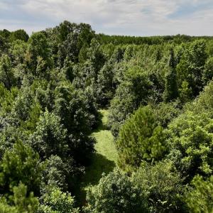 Photo #34 of 1004 No Bottom RD, Warrenton, NC 44.0 acres
