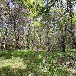 Photo #39 of 1004 No Bottom RD, Warrenton, NC 44.0 acres