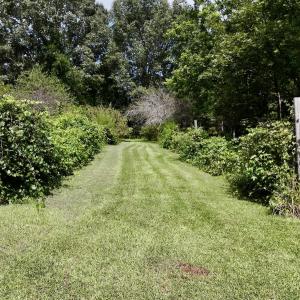Photo #4 of 1004 No Bottom RD, Warrenton, NC 44.0 acres