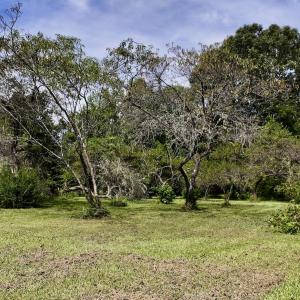 Photo #5 of 1004 No Bottom RD, Warrenton, NC 44.0 acres