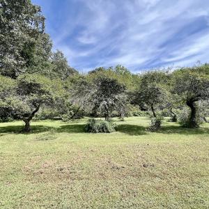 Photo #41 of 1004 No Bottom RD, Warrenton, NC 44.0 acres