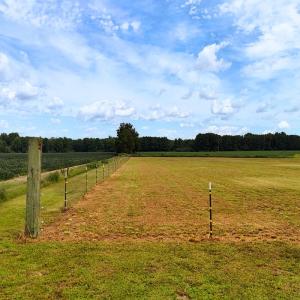 Photo #48 of 804 Alexander Rouse Rd, Kinston, NC 4.6 acres