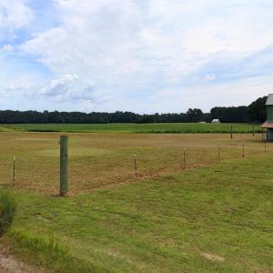 Photo #49 of 804 Alexander Rouse Rd, Kinston, NC 4.6 acres