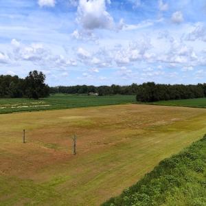 Photo #51 of 804 Alexander Rouse Rd, Kinston, NC 4.6 acres
