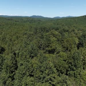 Photo #10 of Off Old Morganton Road, Rutherfordton, NC 44.7 acres