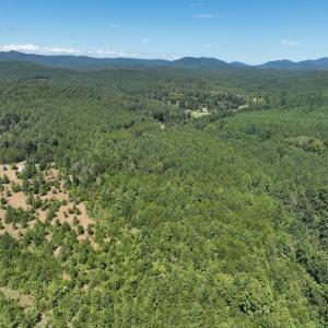 Photo #11 of Off Old Morganton Road, Rutherfordton, NC 44.7 acres