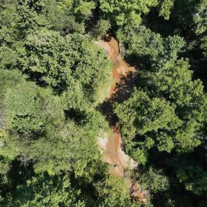 Photo #13 of Off Old Morganton Road, Rutherfordton, NC 44.7 acres