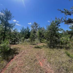 Photo #15 of Off Old Morganton Road, Rutherfordton, NC 44.7 acres