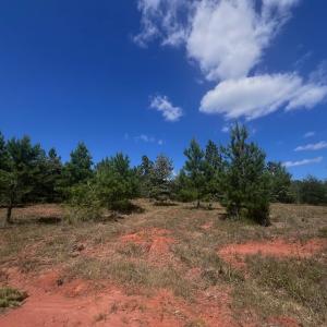 Photo #20 of Off Old Morganton Road, Rutherfordton, NC 44.7 acres