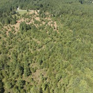 Photo #21 of Off Old Morganton Road, Rutherfordton, NC 44.7 acres