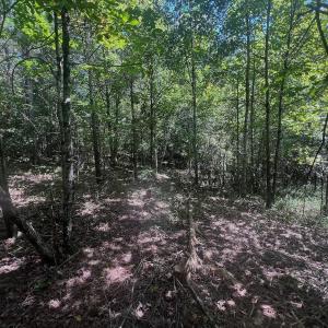 Photo #23 of Off Old Morganton Road, Rutherfordton, NC 44.7 acres