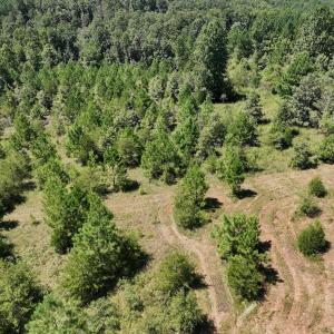 Photo #24 of Off Old Morganton Road, Rutherfordton, NC 44.7 acres