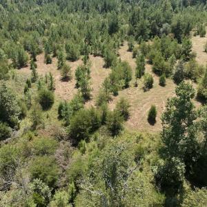 Photo #25 of Off Old Morganton Road, Rutherfordton, NC 44.7 acres