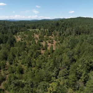 Photo #3 of Off Old Morganton Road, Rutherfordton, NC 44.7 acres
