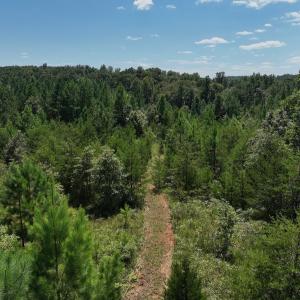 Photo #26 of Off Old Morganton Road, Rutherfordton, NC 44.7 acres