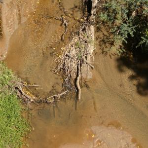 Photo #32 of Off Old Morganton Road, Rutherfordton, NC 44.7 acres