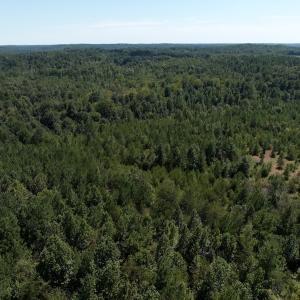 Photo #33 of Off Old Morganton Road, Rutherfordton, NC 44.7 acres