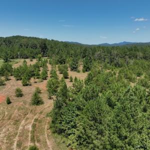 Photo #27 of Off Old Morganton Road, Rutherfordton, NC 44.7 acres