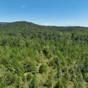 Photo #28 of Off Old Morganton Road, Rutherfordton, NC 44.7 acres