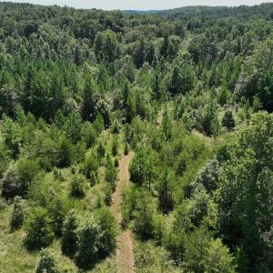 Photo #29 of Off Old Morganton Road, Rutherfordton, NC 44.7 acres