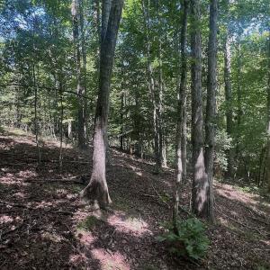 Photo #7 of Off Old Morganton Road, Rutherfordton, NC 44.7 acres