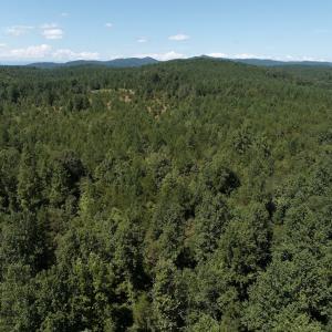 Photo #44 of Off Old Morganton Road, Rutherfordton, NC 44.7 acres