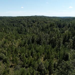Photo #48 of Off Old Morganton Road, Rutherfordton, NC 44.7 acres