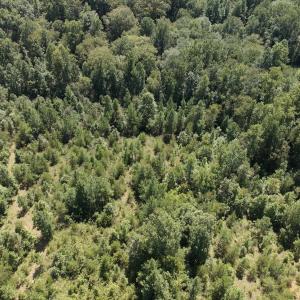 Photo #51 of Off Old Morganton Road, Rutherfordton, NC 44.7 acres