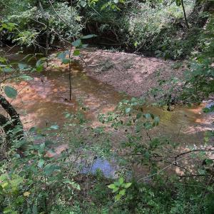 Photo #58 of Off Old Morganton Road, Rutherfordton, NC 44.7 acres