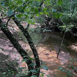 Photo #59 of Off Old Morganton Road, Rutherfordton, NC 44.7 acres
