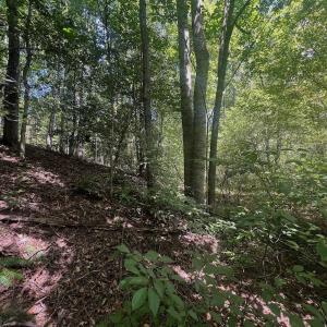 Photo #60 of Off Old Morganton Road, Rutherfordton, NC 44.7 acres
