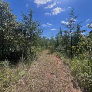Photo #54 of Off Old Morganton Road, Rutherfordton, NC 44.7 acres
