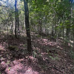 Photo #62 of Off Old Morganton Road, Rutherfordton, NC 44.7 acres