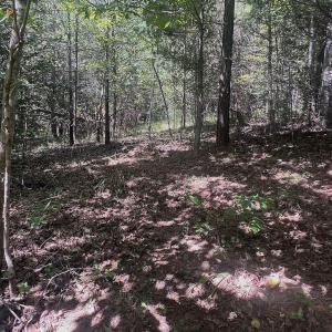 Photo #64 of Off Old Morganton Road, Rutherfordton, NC 44.7 acres