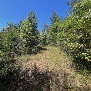 Photo #65 of Off Old Morganton Road, Rutherfordton, NC 44.7 acres