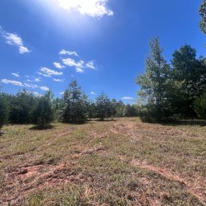 Photo #66 of Off Old Morganton Road, Rutherfordton, NC 44.7 acres