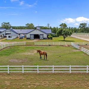 Photo #13 of 1924 Sanderson Road, Chesapeake, VA 50.9 acres