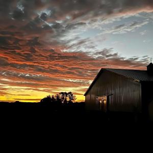Photo #73 of 1924 Sanderson Road, Chesapeake, VA 50.9 acres