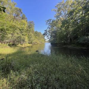 Photo #1 of Off Brights Road, Pittsville, VA 30.4 acres