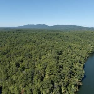 Photo #10 of Off Brights Road, Pittsville, VA 30.4 acres