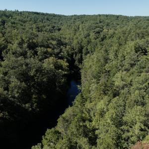 Photo #4 of Off Brights Road, Pittsville, VA 30.4 acres