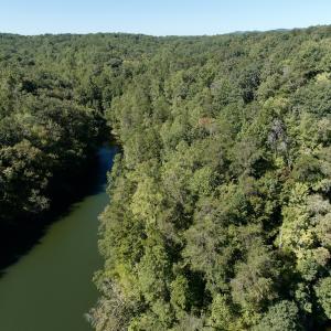 Photo #5 of Off Brights Road, Pittsville, VA 30.4 acres
