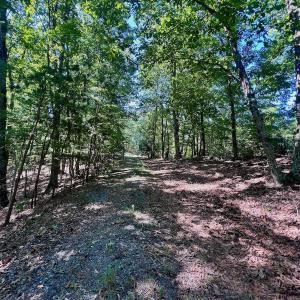 Photo #9 of Off Brights Road, Pittsville, VA 30.4 acres