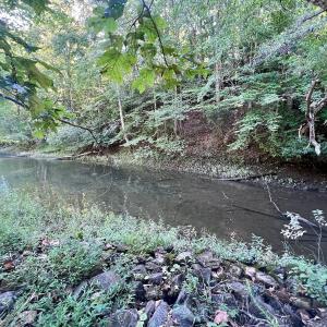 Photo #18 of Off Brights Road, Pittsville, VA 30.4 acres