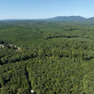 Photo #35 of Off Brights Road, Pittsville, VA 30.4 acres