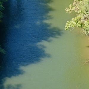 Photo #40 of Off Brights Road, Pittsville, VA 30.4 acres