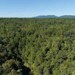 Photo #42 of Off Brights Road, Pittsville, VA 30.4 acres