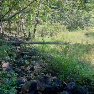 Photo #43 of Off Brights Road, Pittsville, VA 30.4 acres