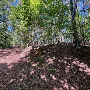 Photo #50 of Off Brights Road, Pittsville, VA 30.4 acres